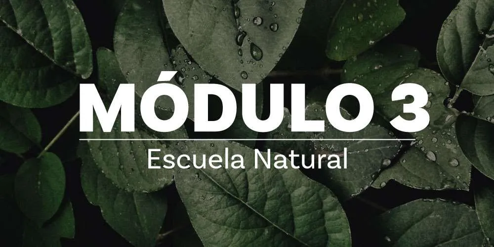 miniaturas escuela natural modulo3 AliadosFunat