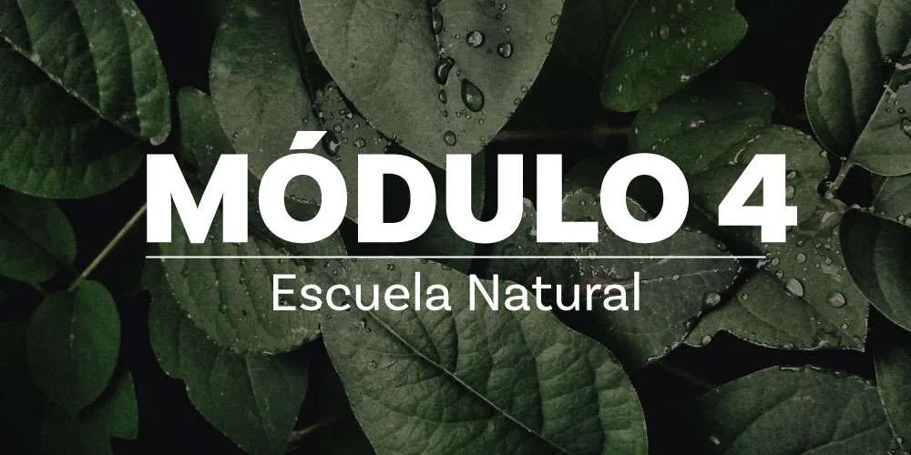 miniaturas escuela natural modulo4 AliadosFunat